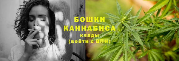 гидропоника Каменка