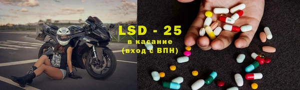 скорость Каменногорск