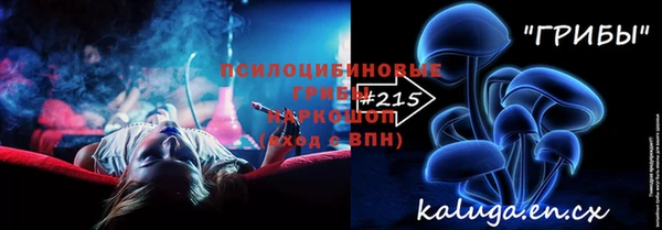 скорость Каменногорск