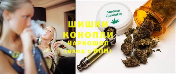 гидропоника Каменка