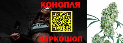 трава Гатчина