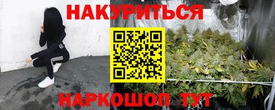 трава Гатчина