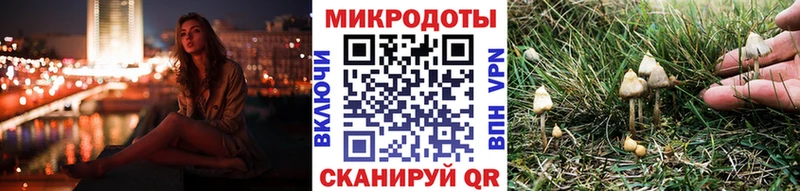 закладка  kraken ТОР  Галлюциногенные грибы прущие грибы  Электросталь 