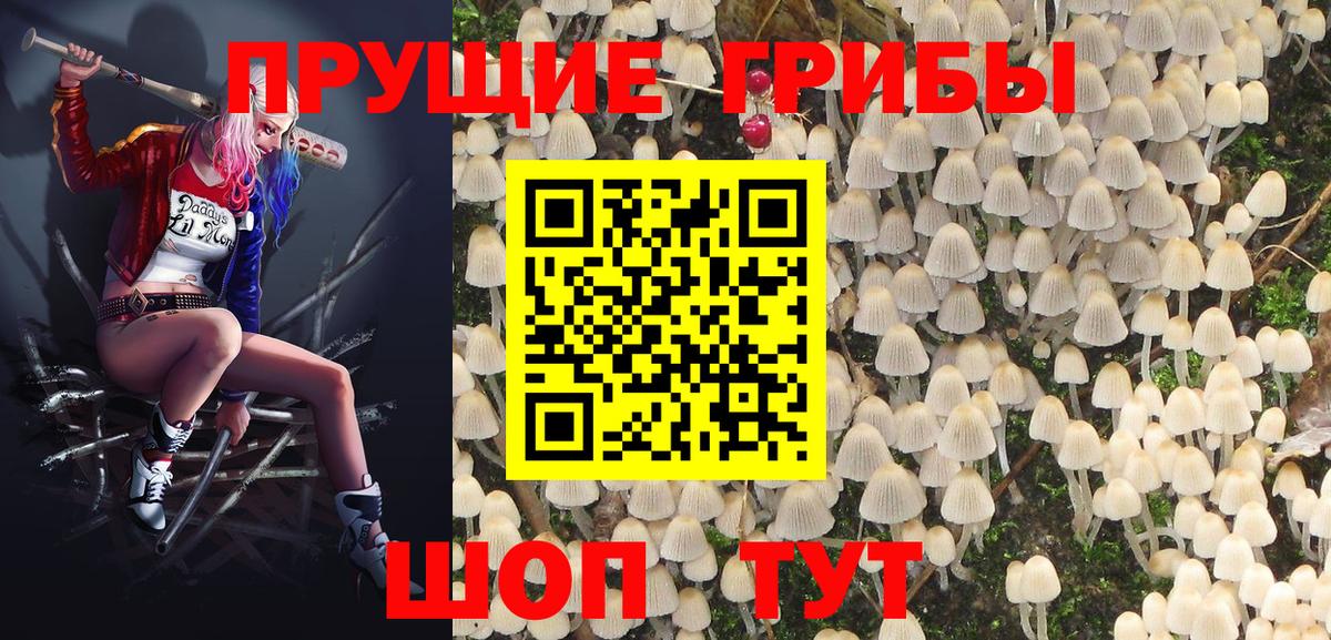 Псилоцибиновые грибы ЛСД  Вход с VPN  Электросталь 