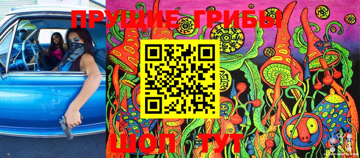 Галлюциногенные грибы Psilocybe Электросталь